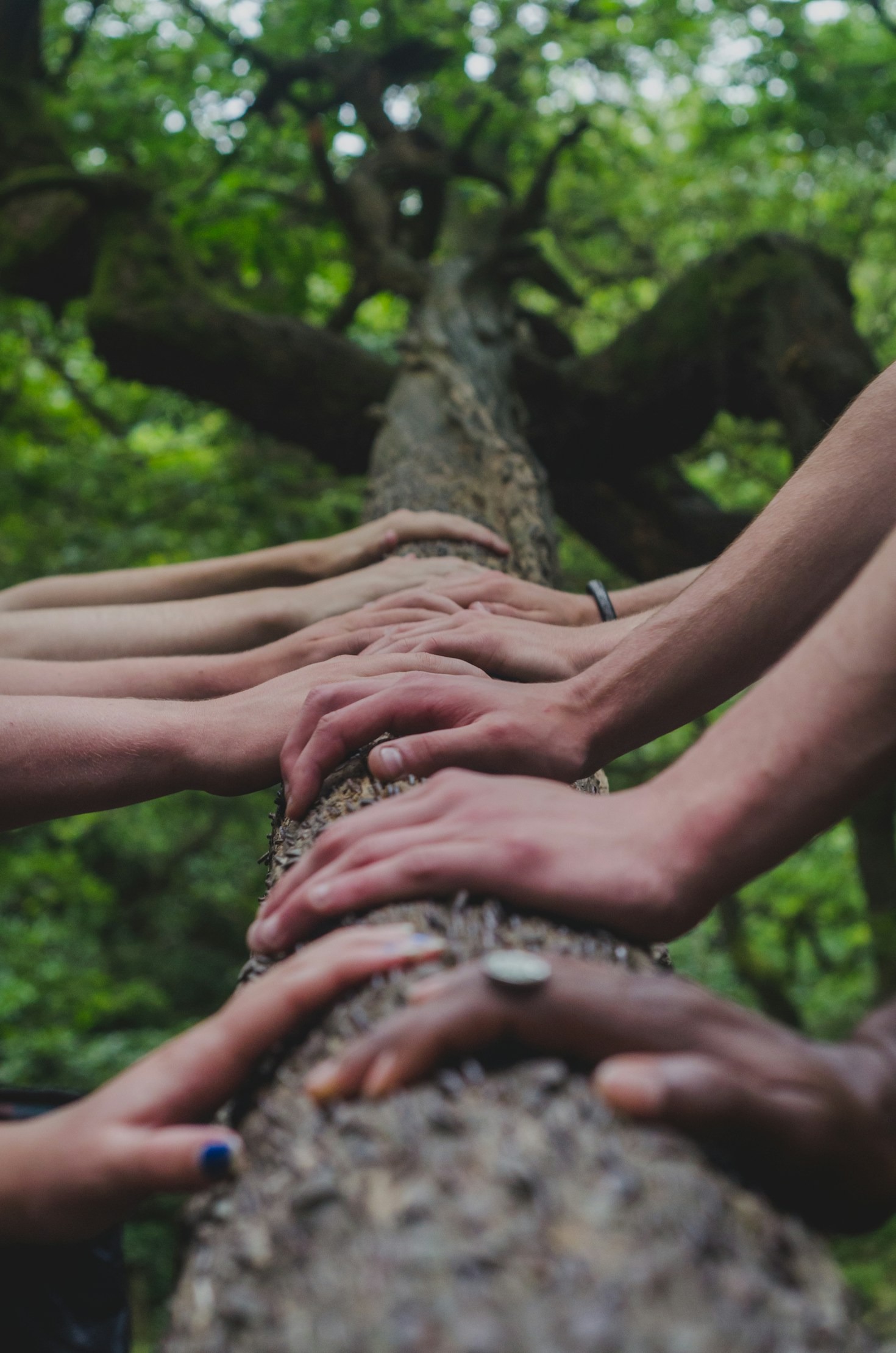 Top Strategies for Staying Committed to Your Goals
